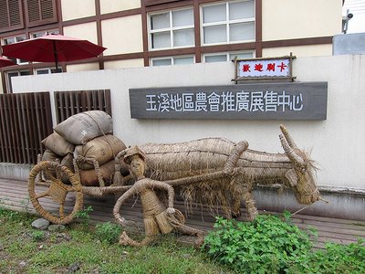 玉溪農會