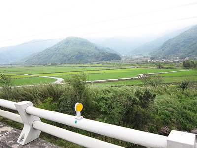 順風真棒