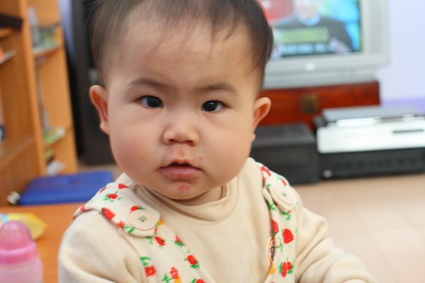 清境_0009.JPG