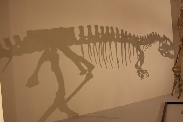 a037.JPG