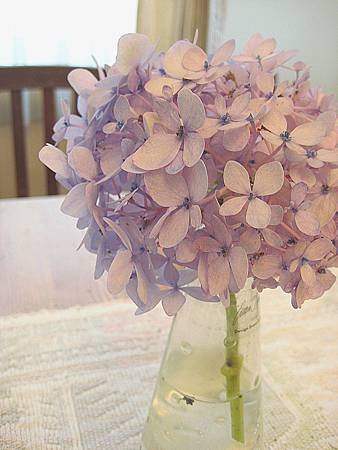 IMG_0176.jpg