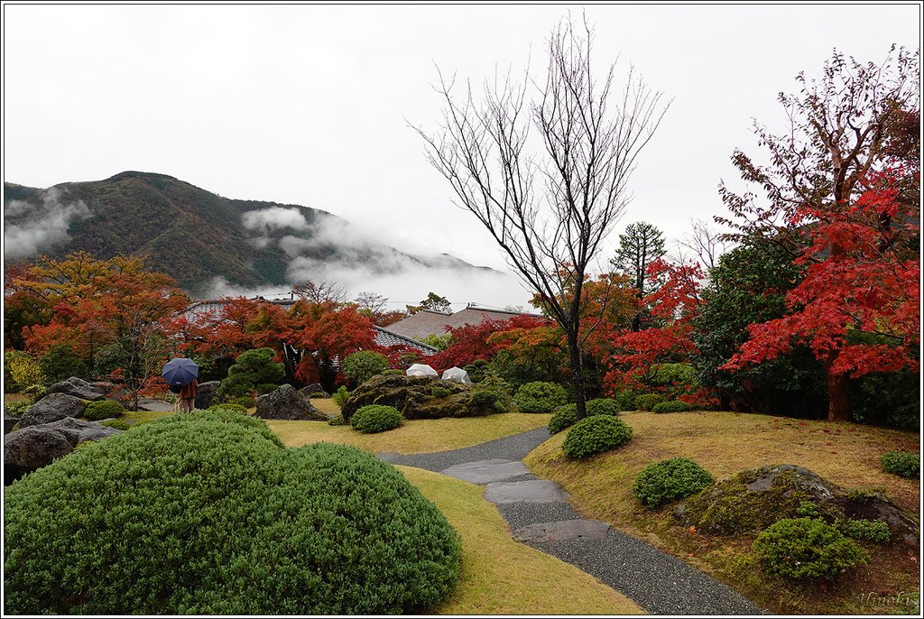 2023.11.15~17 寸又峽&amp;伊豆&amp;箱根 (Sumat