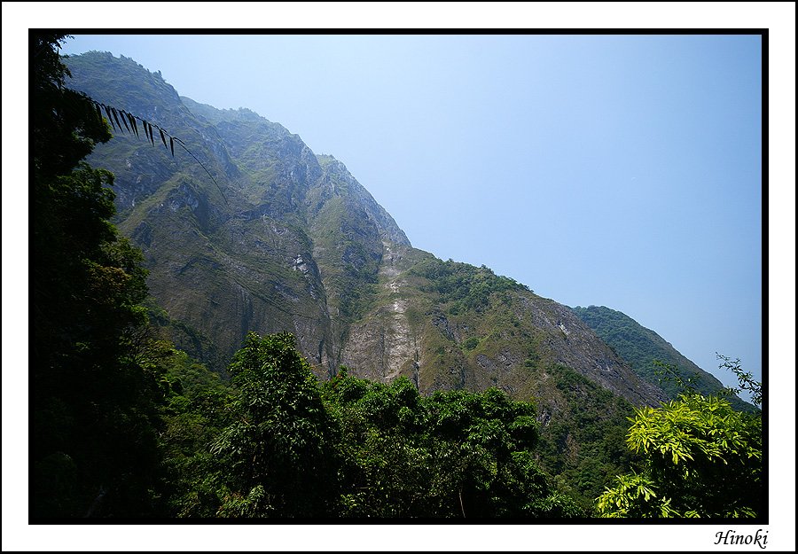 50-錐麓古道眺錐麓斷崖-喔喔喔，要衝上去了阿！！！.jpg