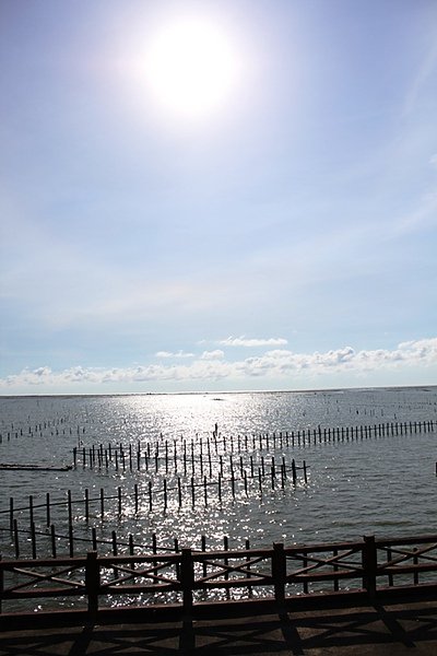 20100815 130.jpg