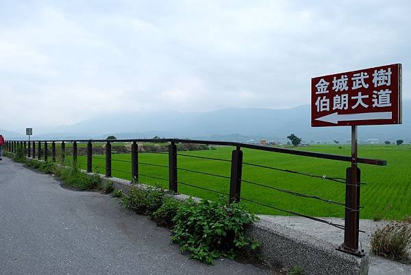 DSCF5916.JPG