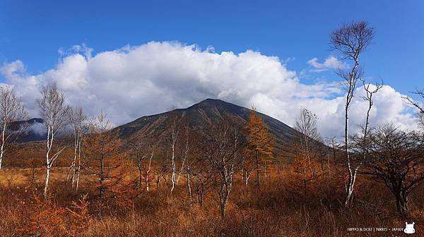 相片 2018-10-22 上午11 38 57.jpg