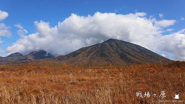 相片 2018-10-22 上午11 47 502.jpg