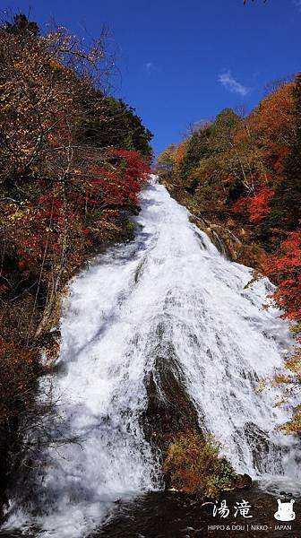 相片 2018-10-22 上午10 11 34.jpg