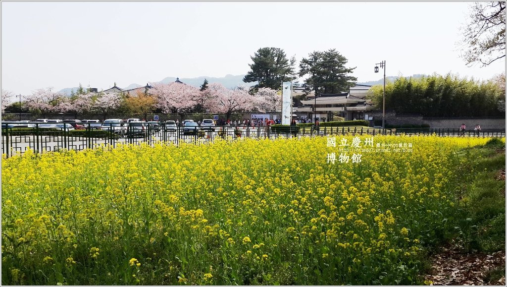 20140408_130736.jpg