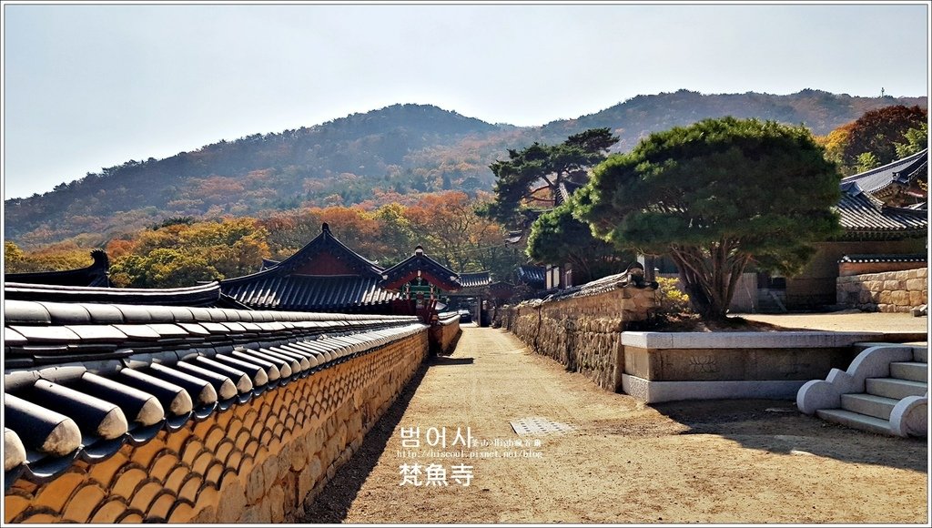 【釜山/金井區】◆梵魚寺◆釜山賞楓名勝범어사