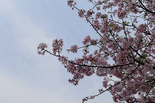 P1190546.JPG