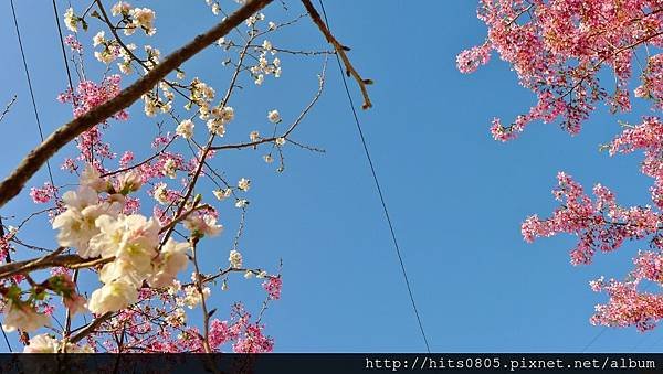 P1330959 (1024x577).jpg