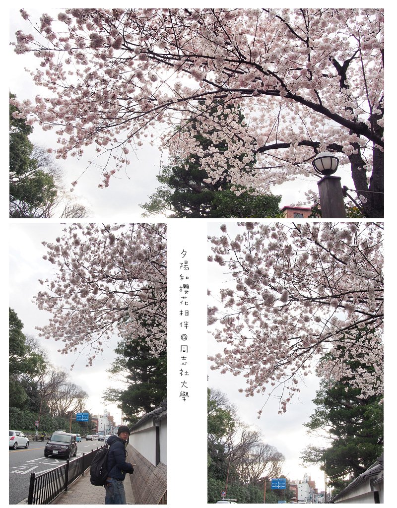 Kansai03-17.jpg