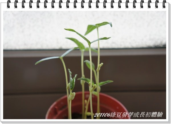DSC05257.JPG