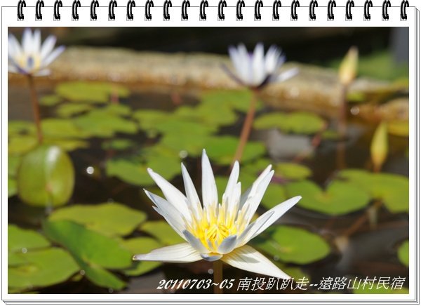 DSC06121.JPG