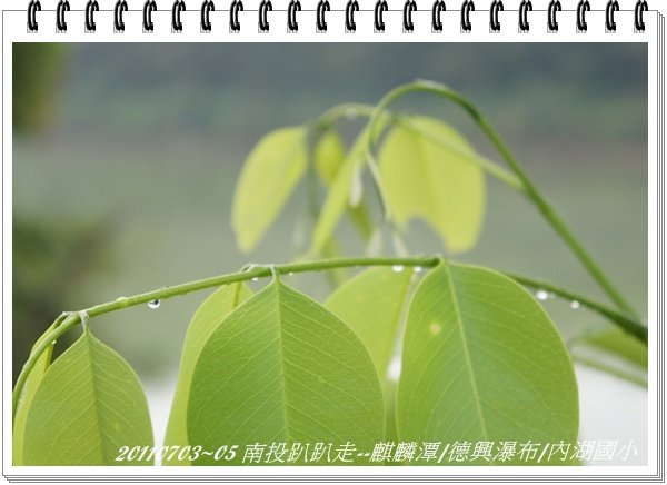 DSC06066.JPG