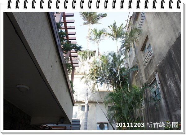 DSC09847