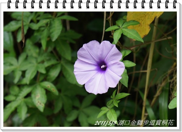 DSC04253.JPG