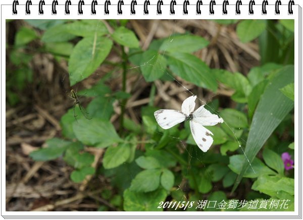 DSC04165.JPG