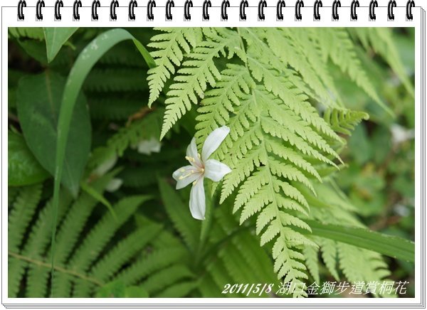 DSC04170.JPG