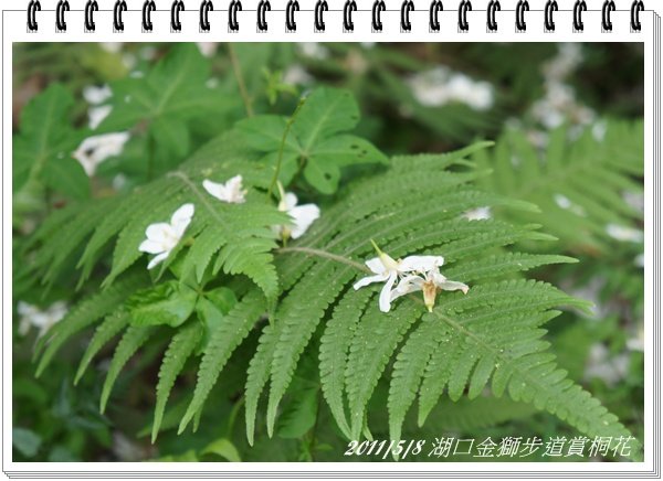 DSC04141.JPG
