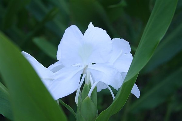 20100802 237.jpg