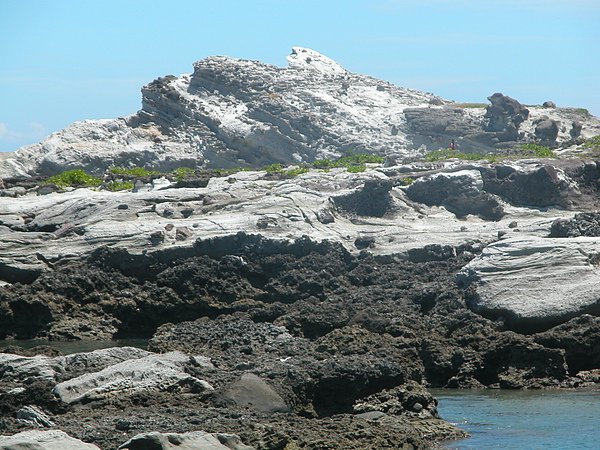 DSCN9073.JPG