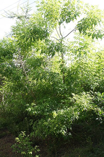 20100828 040.jpg