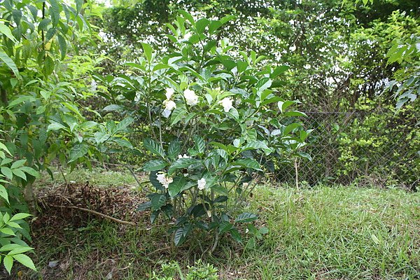 20100626 072.jpg