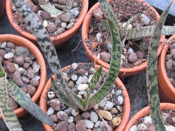2011 004.jpg