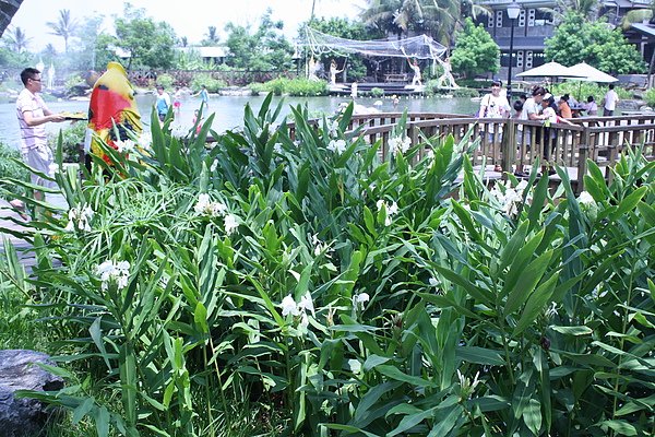 20100802 272.jpg