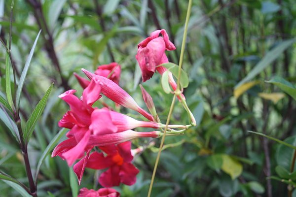 20100802 047.jpg