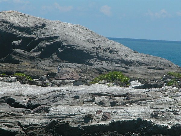 DSCN9070.JPG