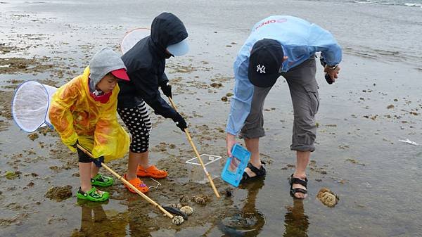 把採集的生物放回海裡。.jpg