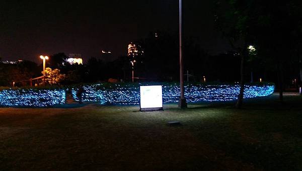 IMAG0054