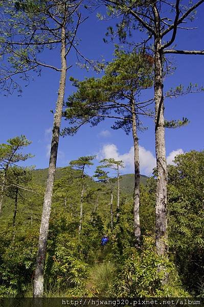 羅葉尾山