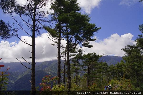 羅葉尾山