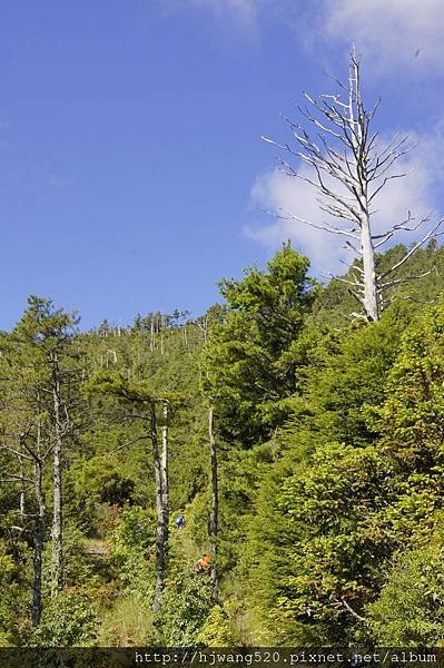 羅葉尾山