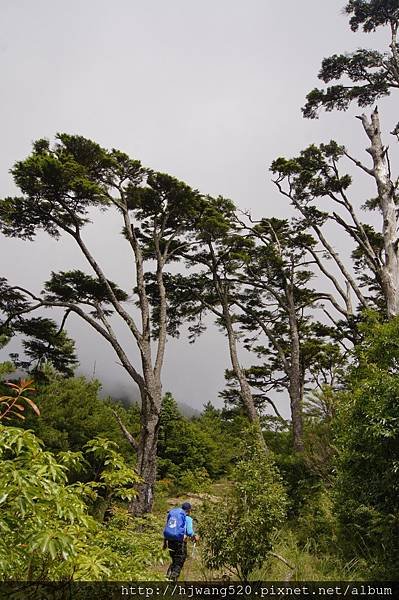 羅葉尾山