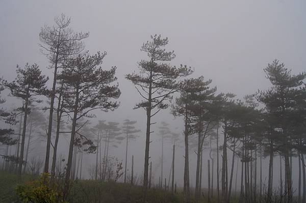 馬武佐野郡山