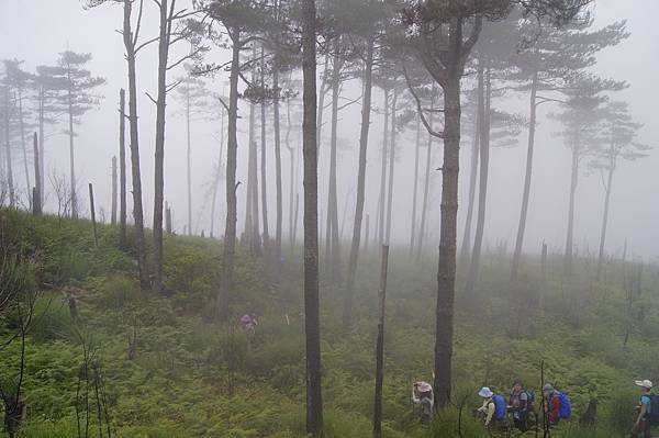 馬武佐野郡山