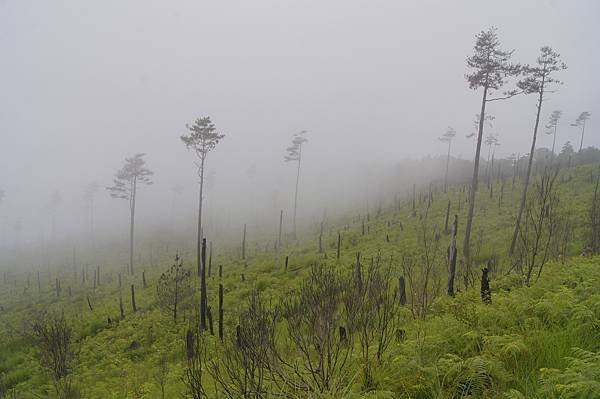 馬武佐野郡山