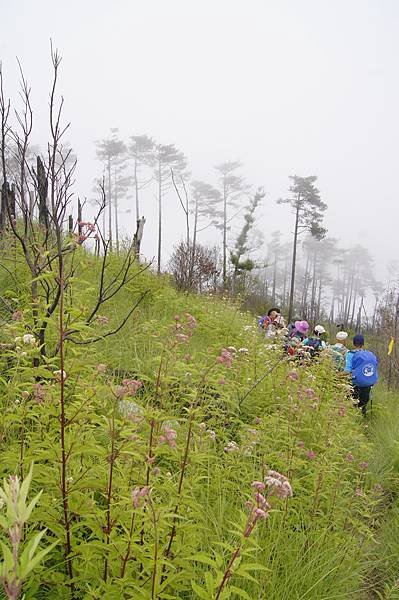 馬武佐野郡山