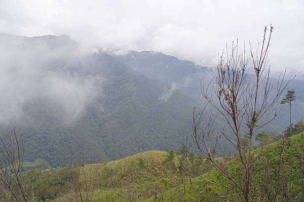 馬武佐野郡山