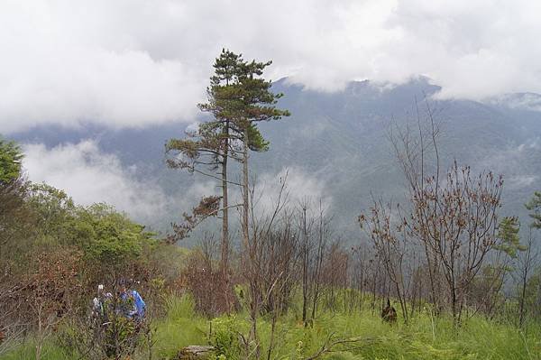 馬武佐野郡山