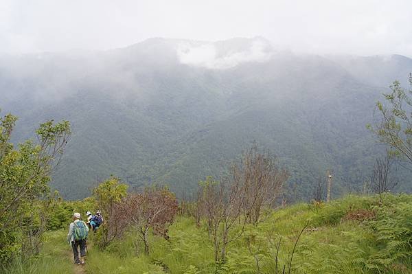 馬武佐野郡山