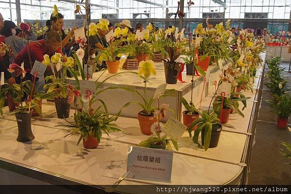 2017台灣蘭展