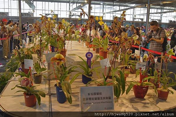 2017台灣蘭展