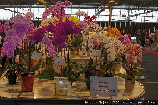 2017台灣蘭展