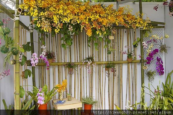 2017台灣蘭展